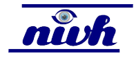National Institute for the Visually Handicapped logo